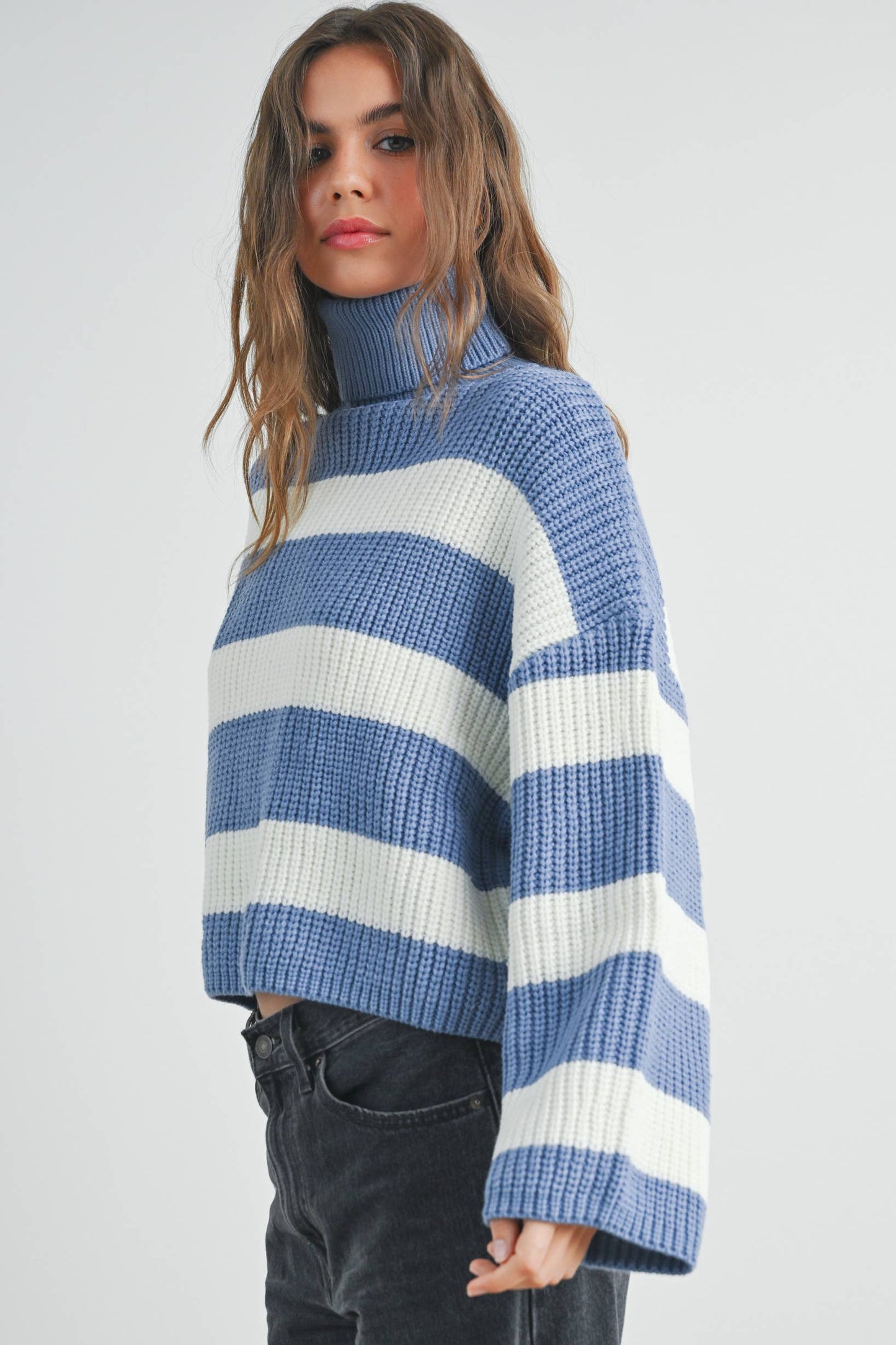 Striped Pullover Turtleneck Sweater